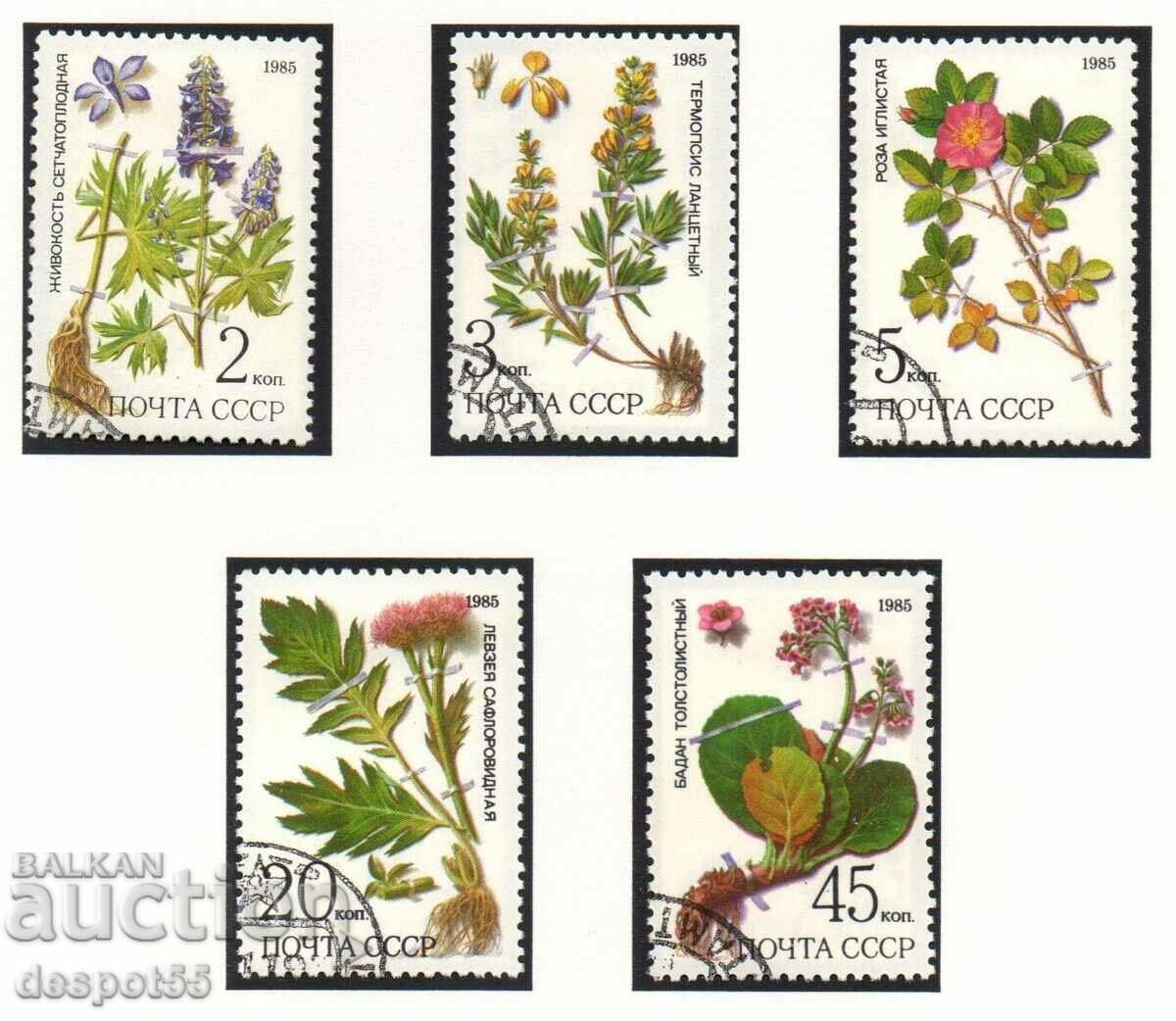 1985. USSR. Plants from Siberia.