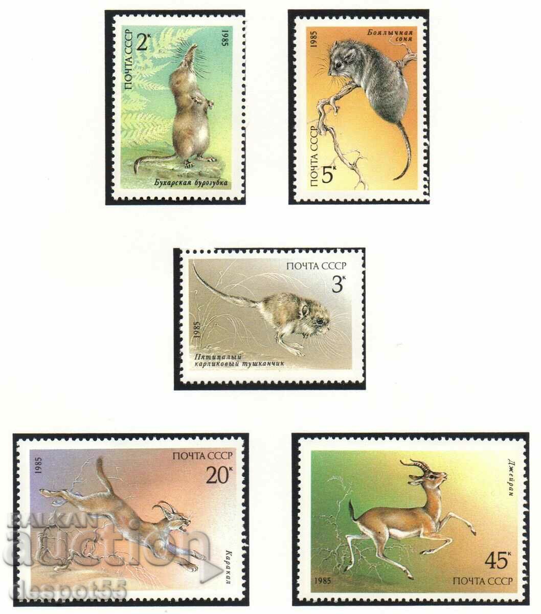 1985. USSR. Protected species.