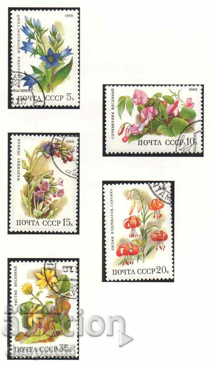 1988. USSR. Deciduous forest flowers.