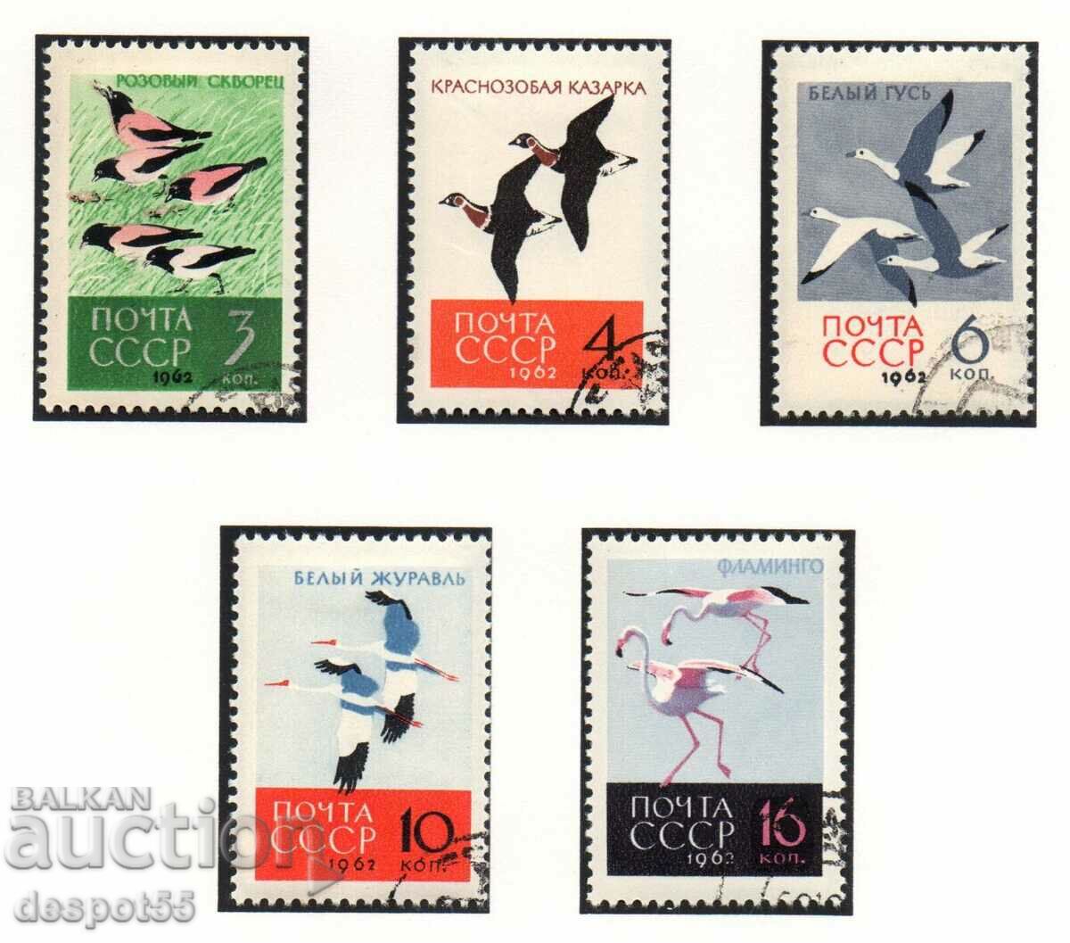 1962. URSS. Păsări.