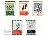 1962. USSR. Birds.