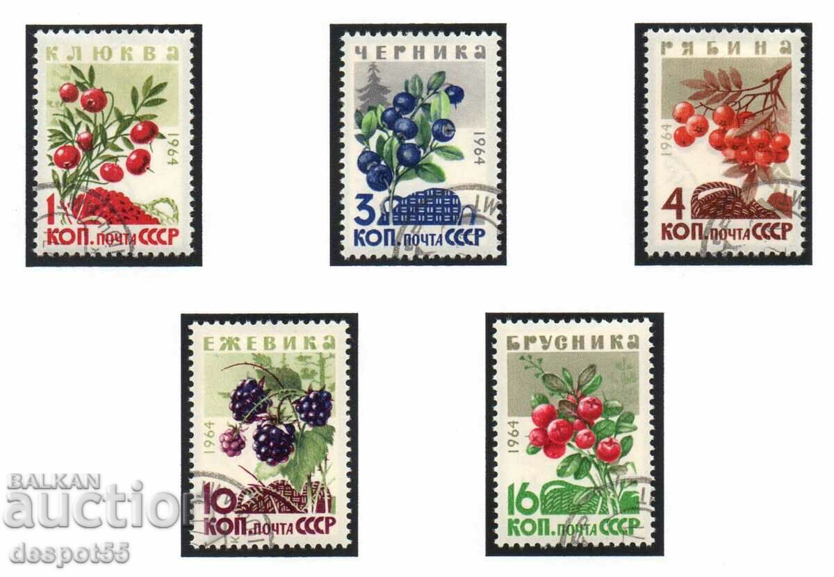 1964. USSR. Forest fruits.