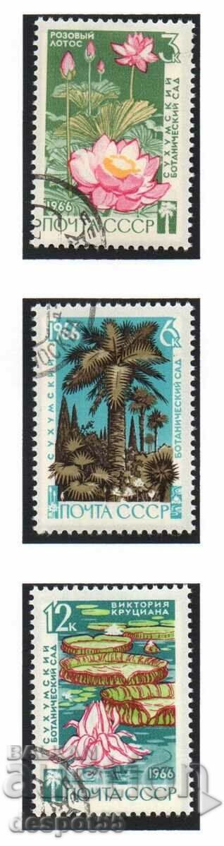 1966. USSR. 125 years of the botanical garden in Sukhumi.