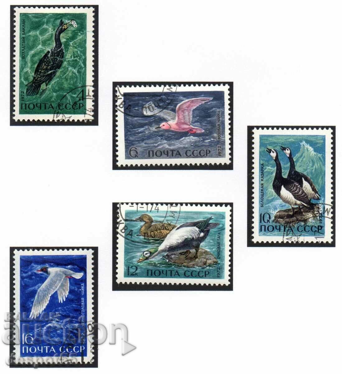 1972. USSR. Sea birds.