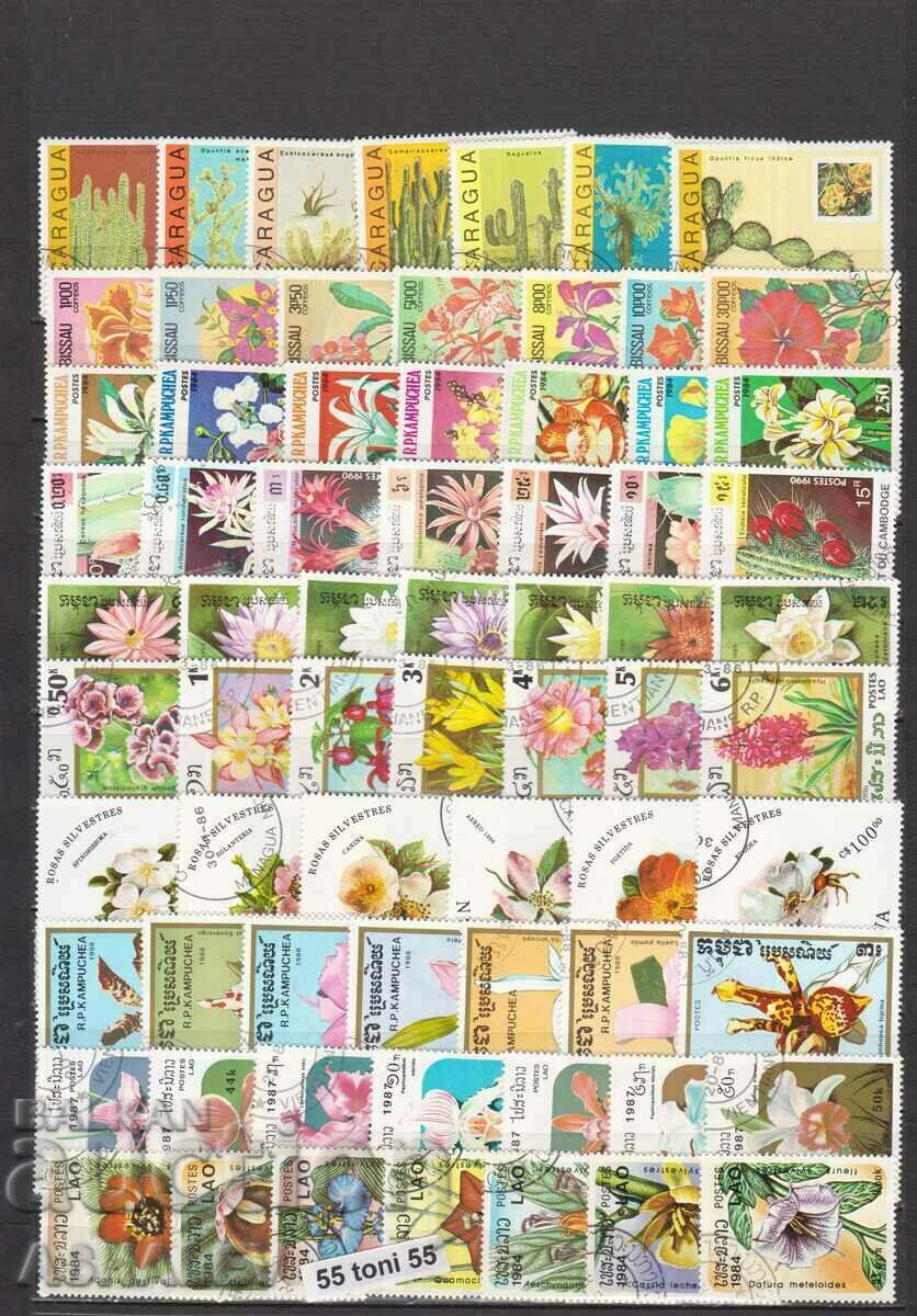 Lot Flora 15 series with print / Flowers-Mushrooms /