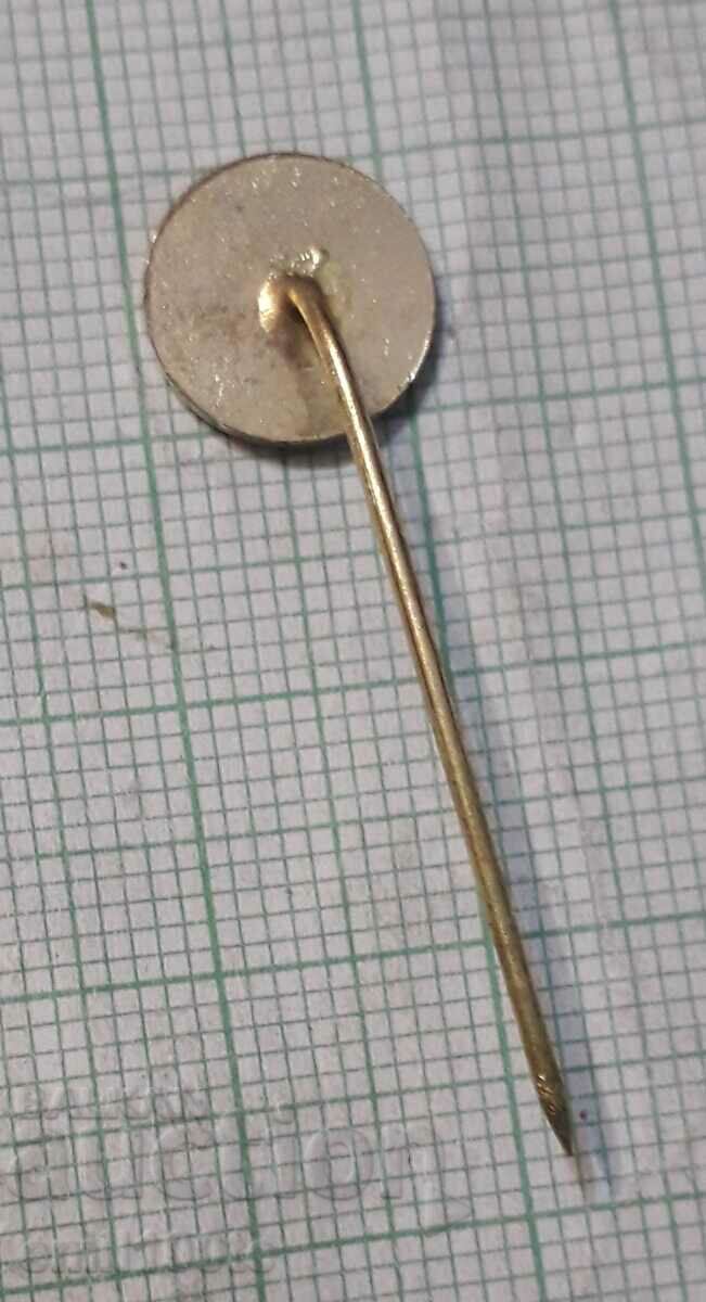 Delivery of Badge - Mint Delivery of Badge - Mint