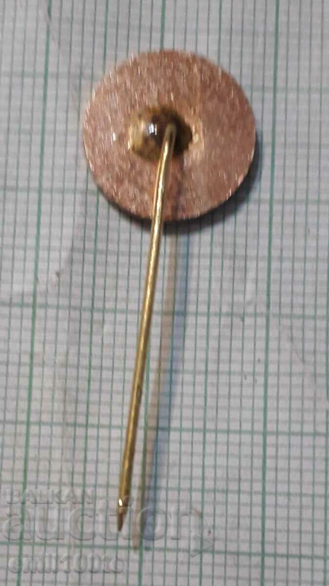 Delivery of Badge - BGA Balkan LZ Delivery of Badge - BGA Balkan LZ