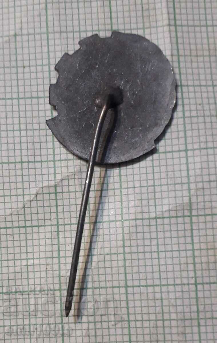 Delivery of Badge - 75 years of NTS Scientific and Technical Union