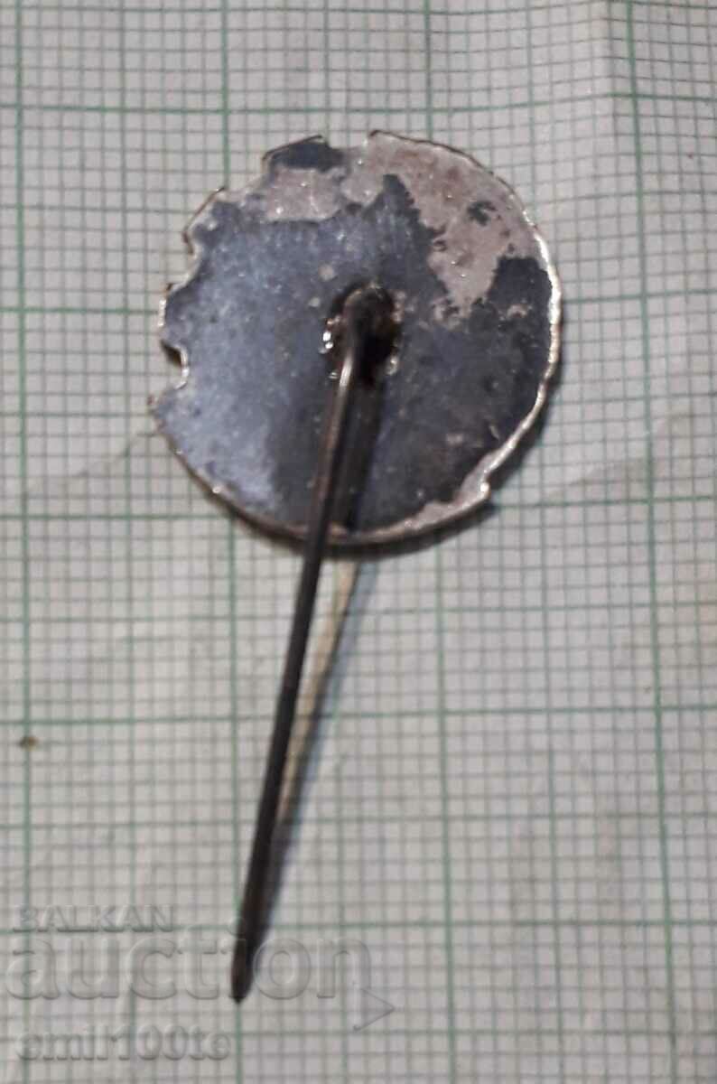 Delivery of Badge - 75 years of NTS Scientific and Technical Union Delivery of Badge - 75 years of NTS Scientific and Technical Union