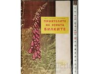 People's friends: The herbs Asparuh Boychinov
