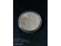 South Africa 2024 - 1 OZ - Krugerrand - Silver coin