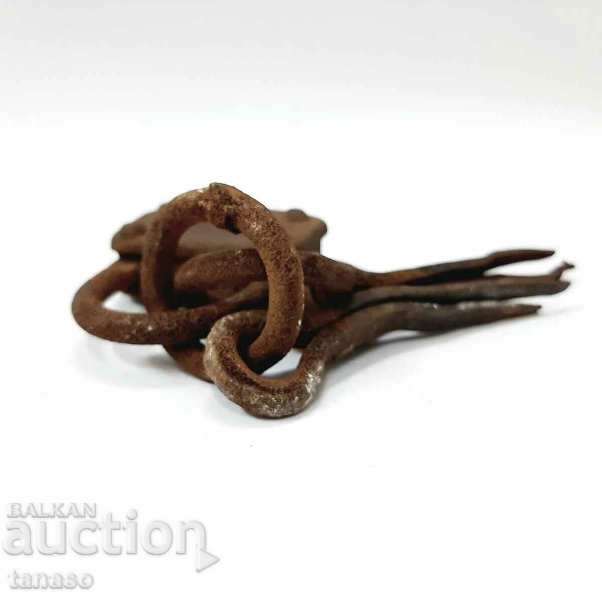 Delivery of Old padlock with rings and hooks(1.6) Delivery of Old padlock with rings and hooks(1.6)