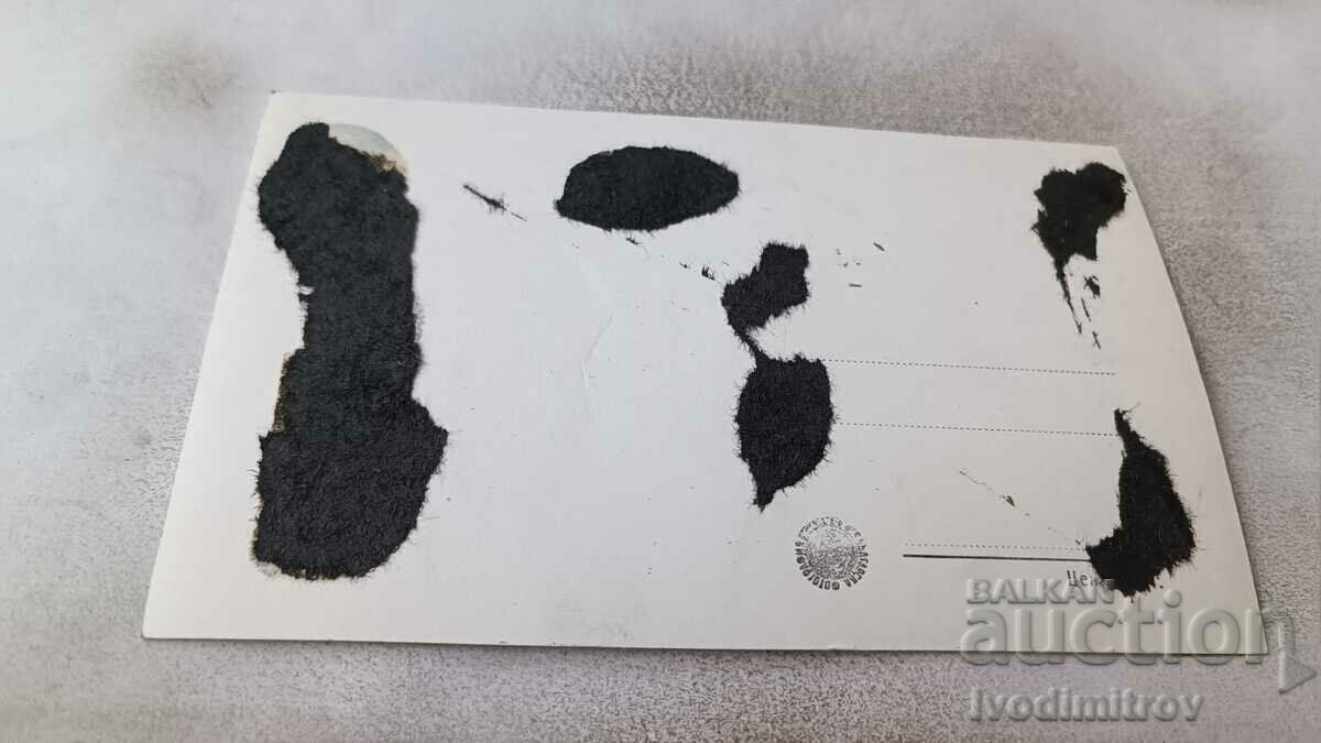 Καρτ ποστάλ Balchik Θέα από το παλάτι με τιμή 2.45 BGN | € 1.25