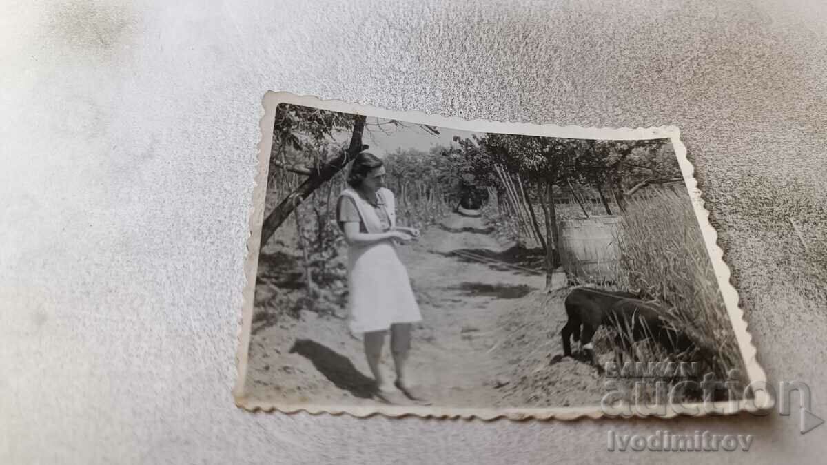 Φωτογραφία Πλέβεν Γυναίκα με σκύλο για βόλτα 1944