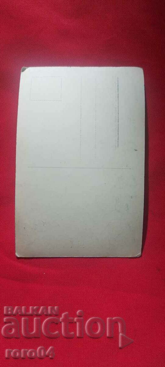 Betty Bird - AUTOGRAPH - 5 Betty Bird - AUTOGRAPH - 5