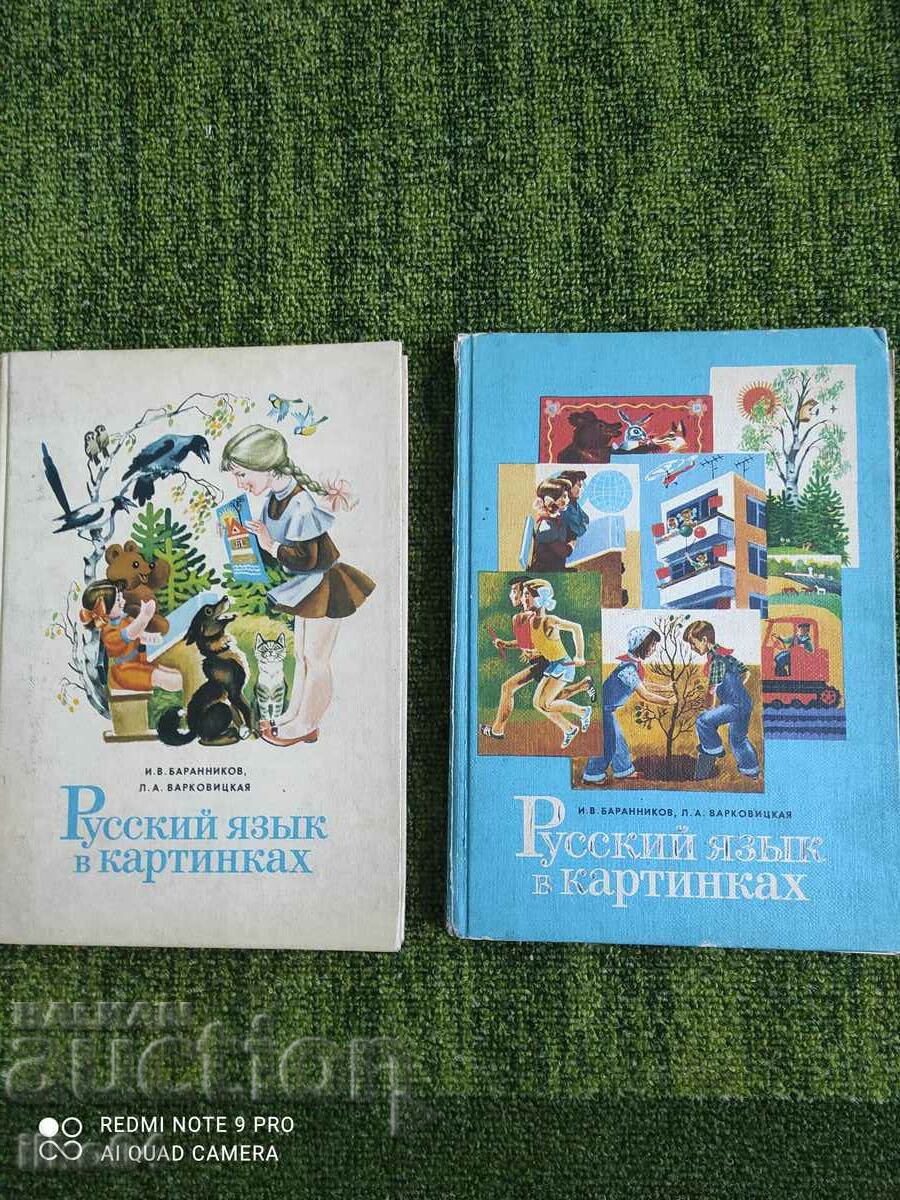 Russian language in the picture 2 pieces
