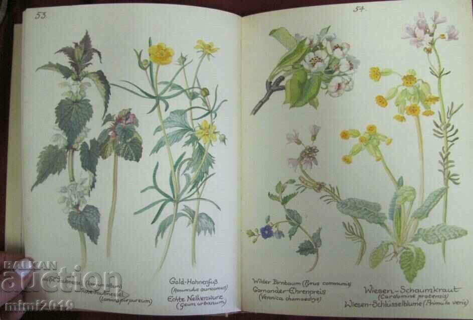 1977 Book Calendar - Flowers and Birds Germany - 7