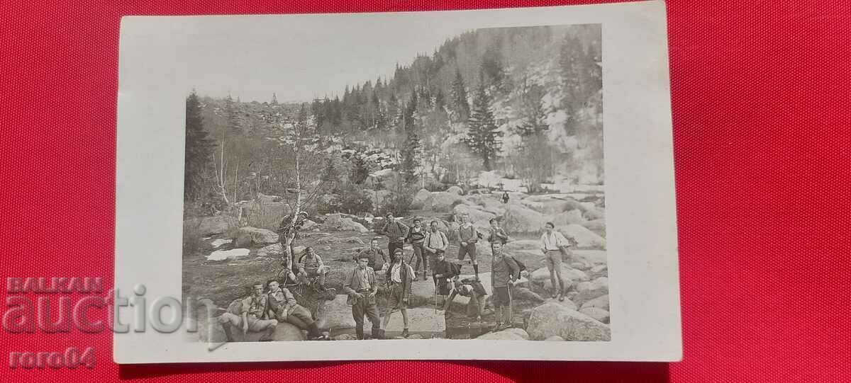 PODURILE DE AUR - VITOSHA - 1930