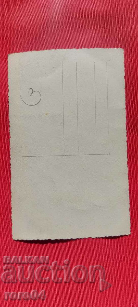 TO MY BROTHER VANIO FROM MIRCHO - 5 TO MY BROTHER VANIO FROM MIRCHO - 5