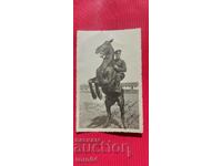 FRATELOR MEU VANIO DE LA MIRCHO