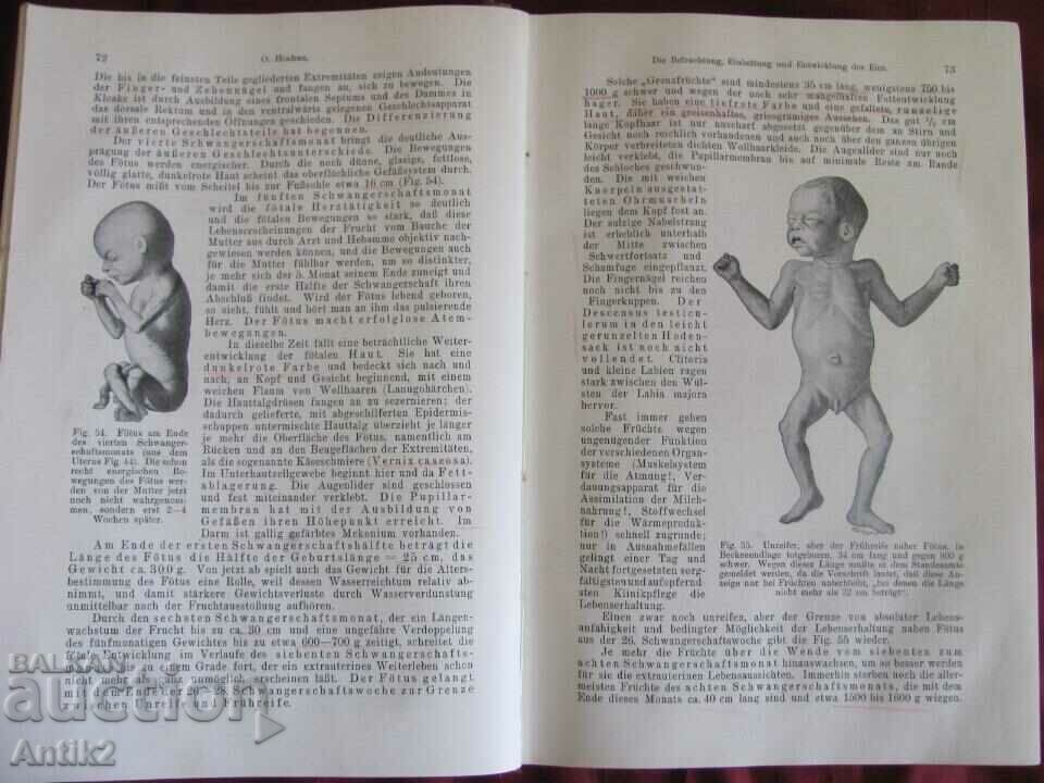 Auction 1923 Medical Book Germany Auction 1923 Medical Book Germany