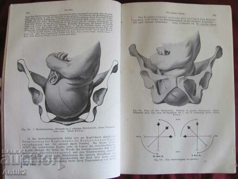 1923 Medical Book Germany - 5 1923 Medical Book Germany - 5