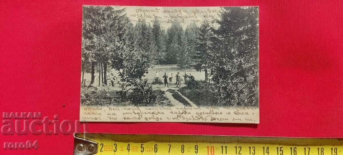 CHAMKORIA - PEPIÑA - NU ESTE DESCRIS IN CATALOG cu preț € 28.99 | 56.70 BGN