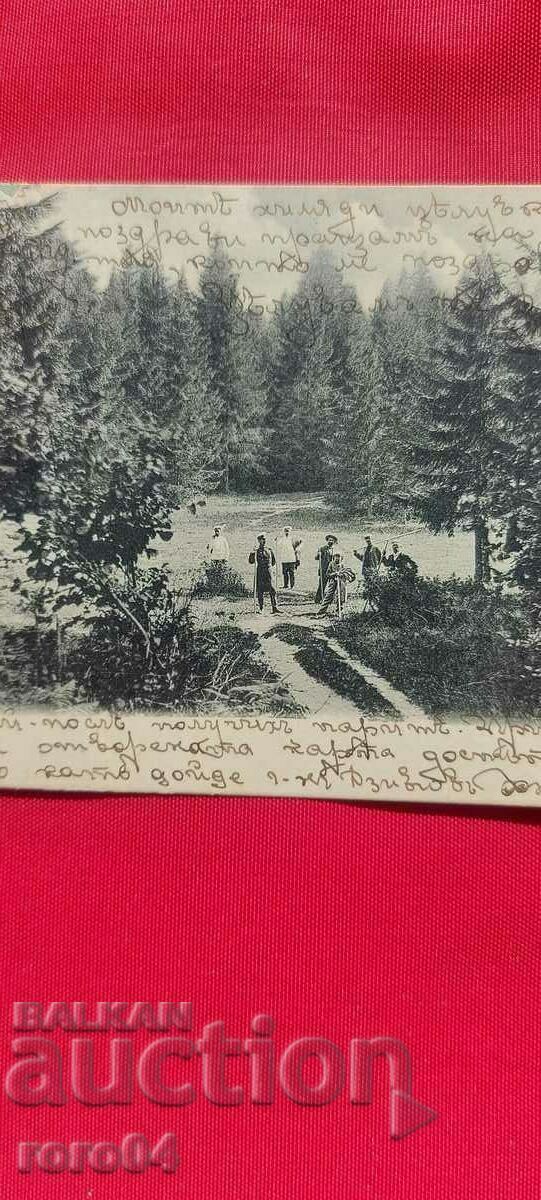 Licitație CHAMKORIA - PEPIÑA - NU ESTE DESCRIS IN CATALOG
