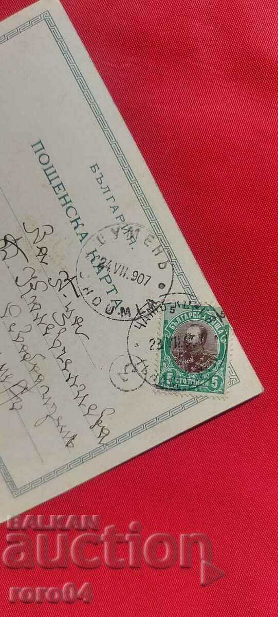 CHAMKORIA - THE NURSERY - NOT DESCRIBED IN THE CATALOG - 6 CHAMKORIA - THE NURSERY - NOT DESCRIBED IN THE CATALOG - 6