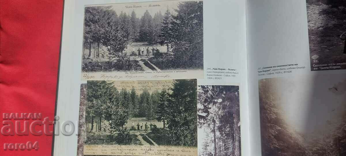 CHAMKORIA - PEPIÑA - NU ESTE DESCRIS IN CATALOG - 7