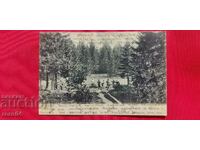 CHAMKORIA - THE NURSERY - NOT DESCRIBED IN THE CATALOG