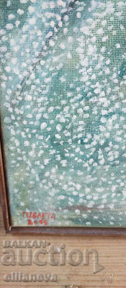 Πίνακας 60· 22 εκ. Παυλέτα 2005 με τιμή 30.00 BGN | € 15.34