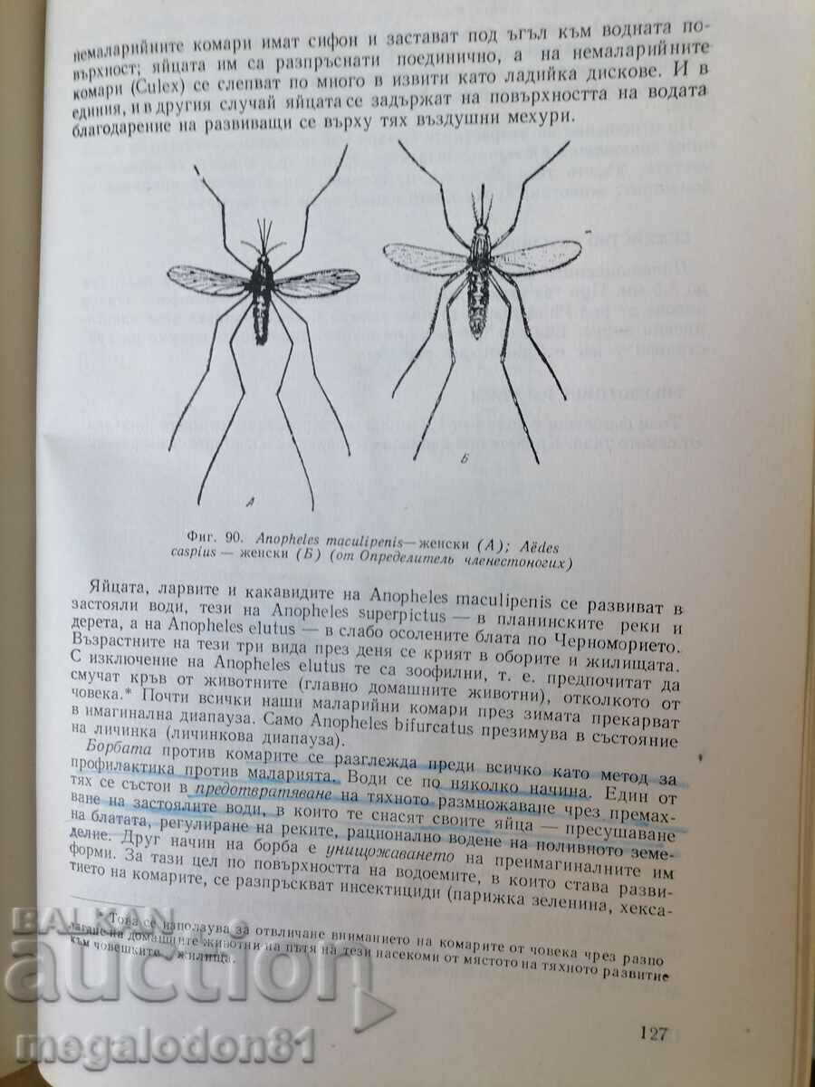 Delivery of Parasitology, ed. 1966