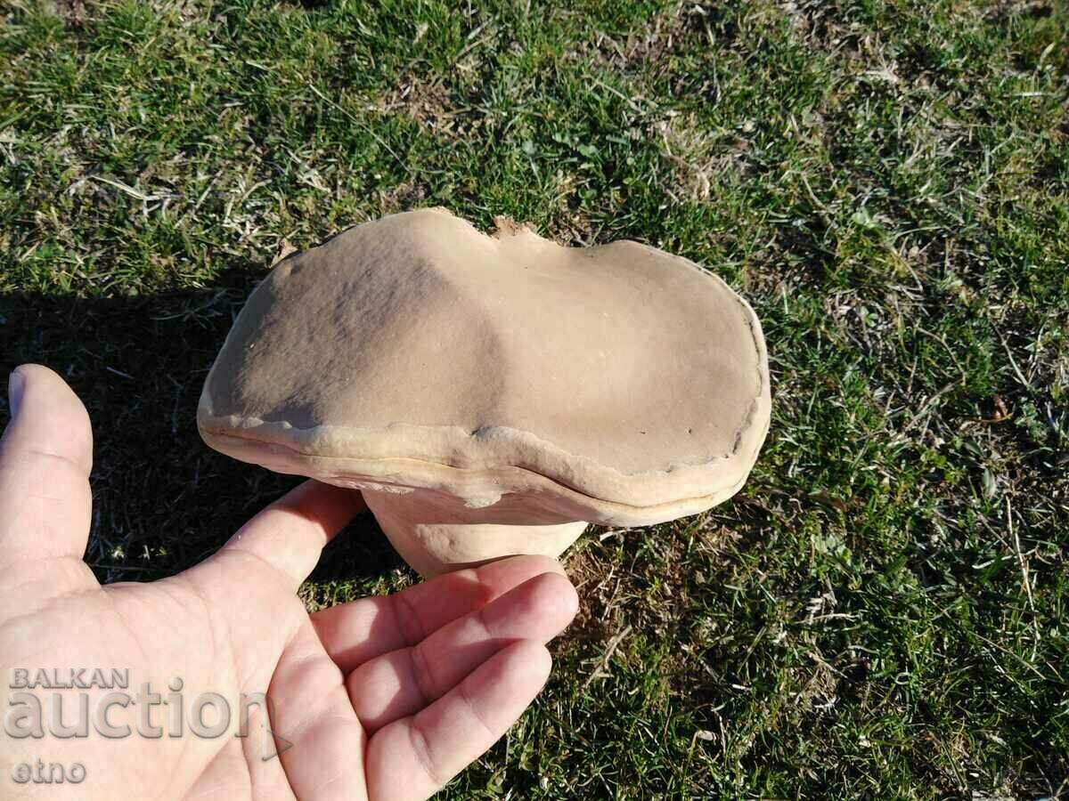 WOODEN SPONGE FOR DECORATION with price 20.00 BGN | € 10.23 WOODEN SPONGE FOR DECORATION with price 20.00 BGN | € 10.23