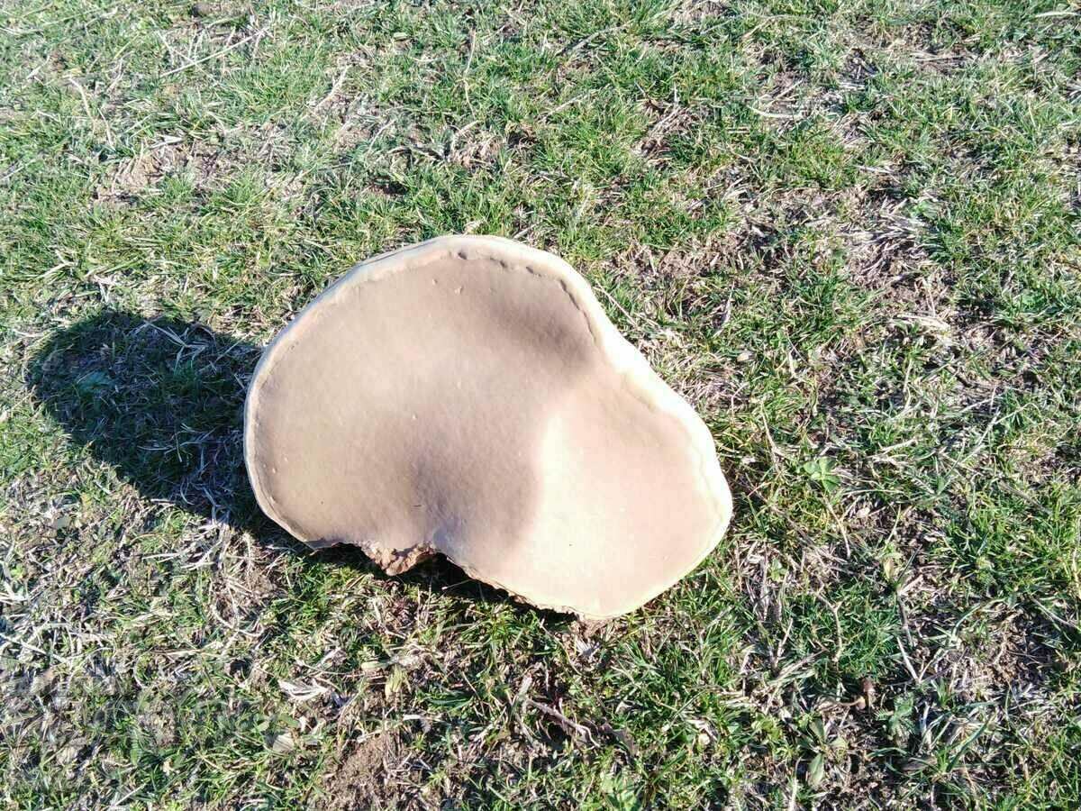 WOODEN SPONGE FOR DECORATION - 5 WOODEN SPONGE FOR DECORATION - 5