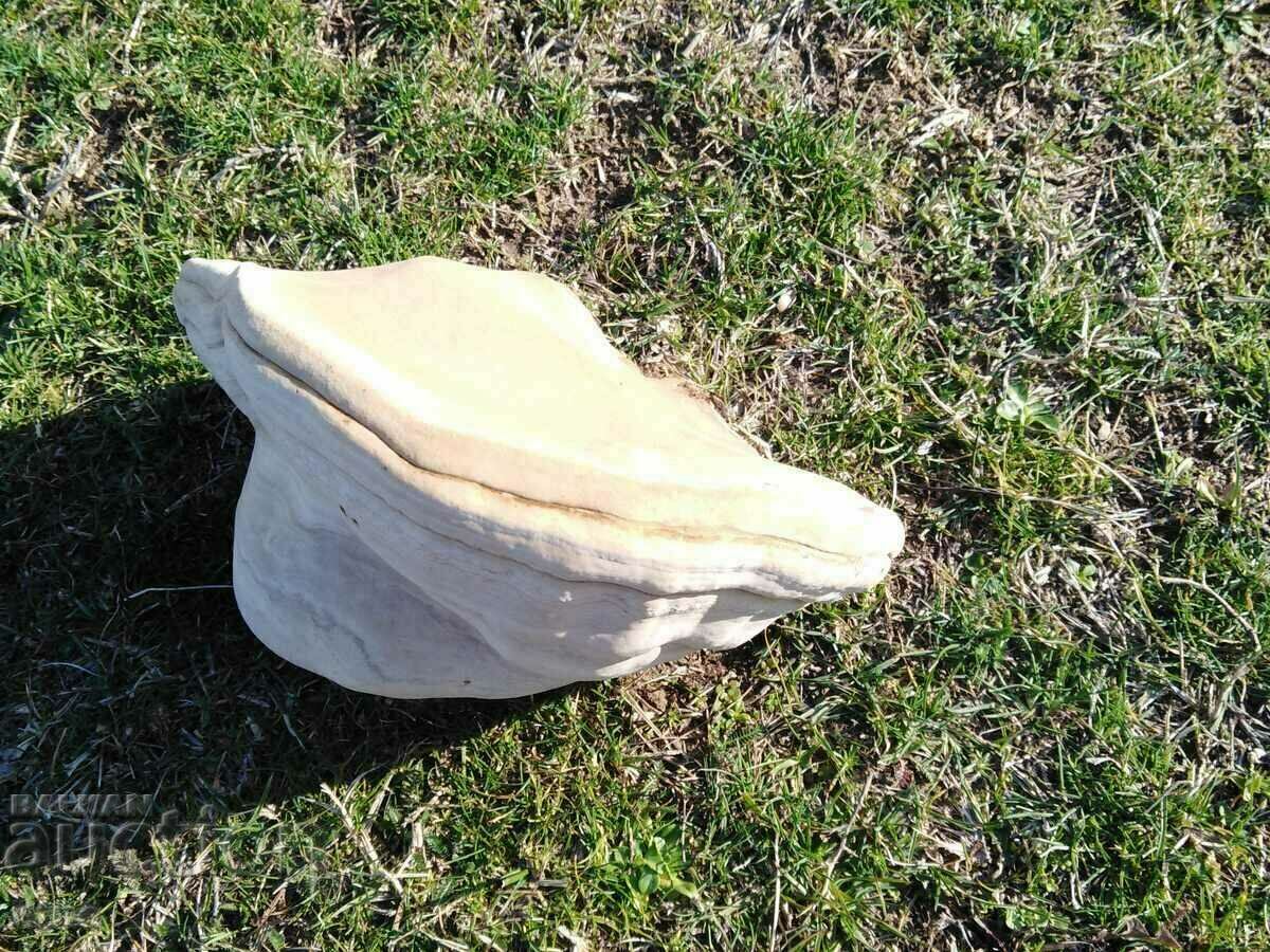 WOODEN SPONGE FOR DECORATION - 6 WOODEN SPONGE FOR DECORATION - 6