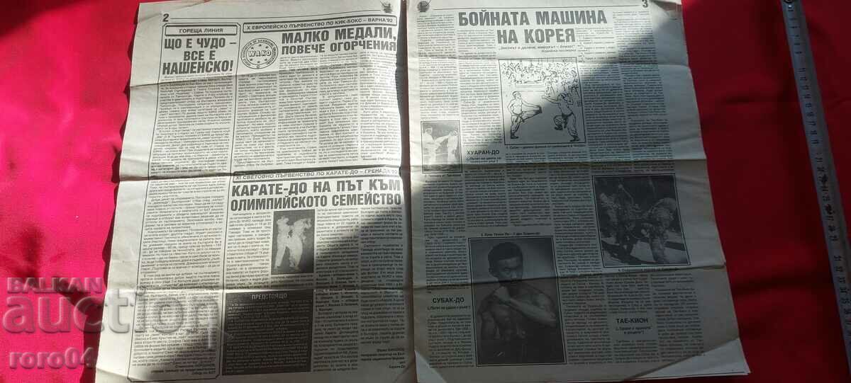 Licitație SAMURAI - ARTE MARTIALE