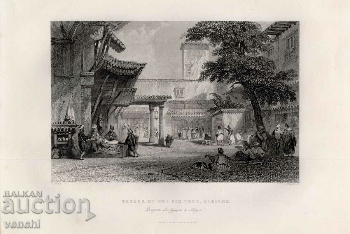 1836 - ΑΛΓΙΕΡ, ΣΥΚΑΓΟΡΑ - ΠΡΩΤΟΤΥΠΟ