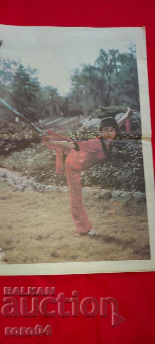 SAMURAI - MARTIAL ARTS - 6 SAMURAI - MARTIAL ARTS - 6