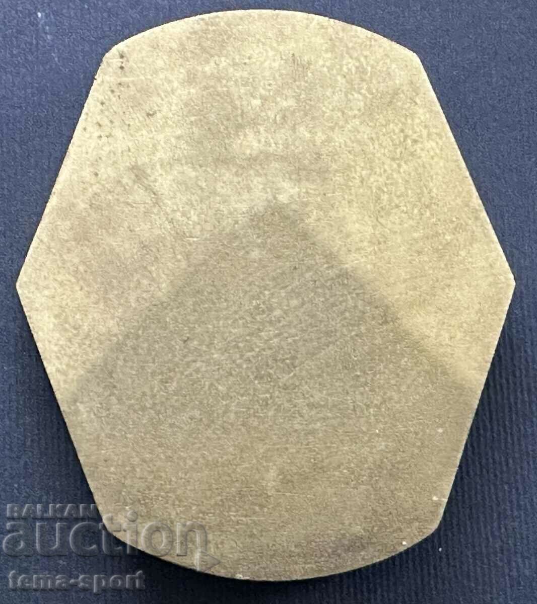 41 Bulgaria Plaque For Sports Merits BSFS with price 25.00 BGN | € 12.78 41 Bulgaria Plaque For Sports Merits BSFS with price 25.00 BGN | € 12.78