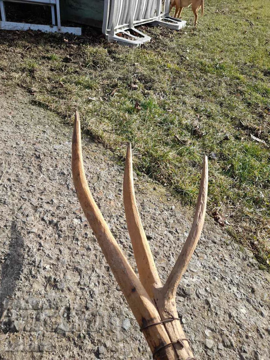 Old three-cornered wooden cottage - 5 Old three-cornered wooden cottage - 5