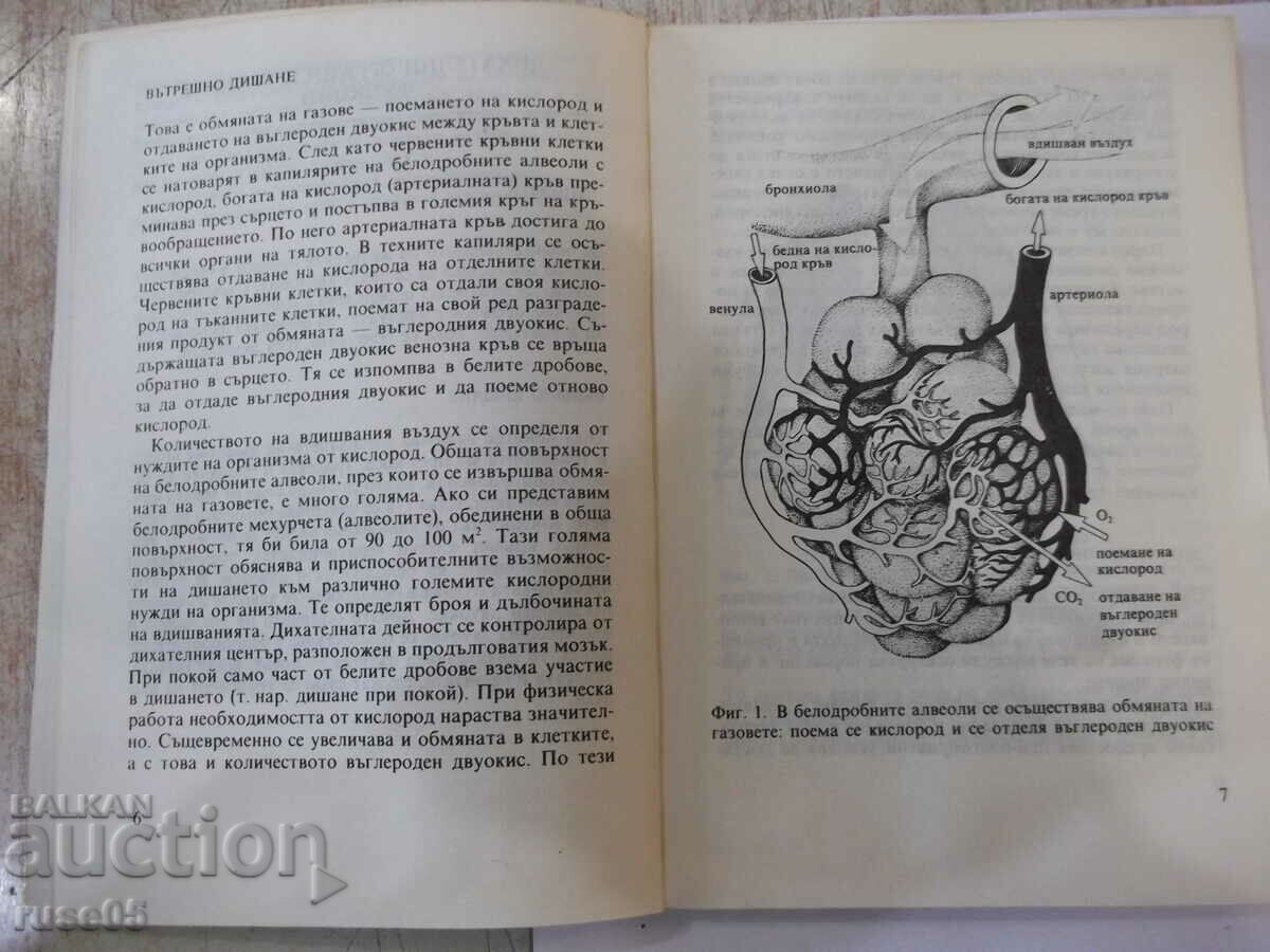 Auction  Book "Bronchitis and bronchial asthma - Hans Blaha" - 136 pages.