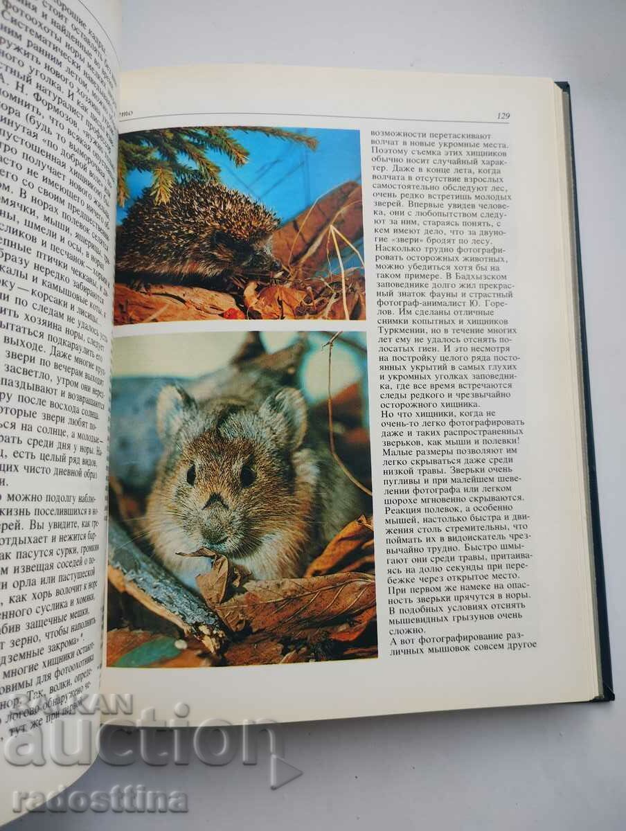 Δημοπρασία Φωτογραφία Ι.Α. Μουχίν