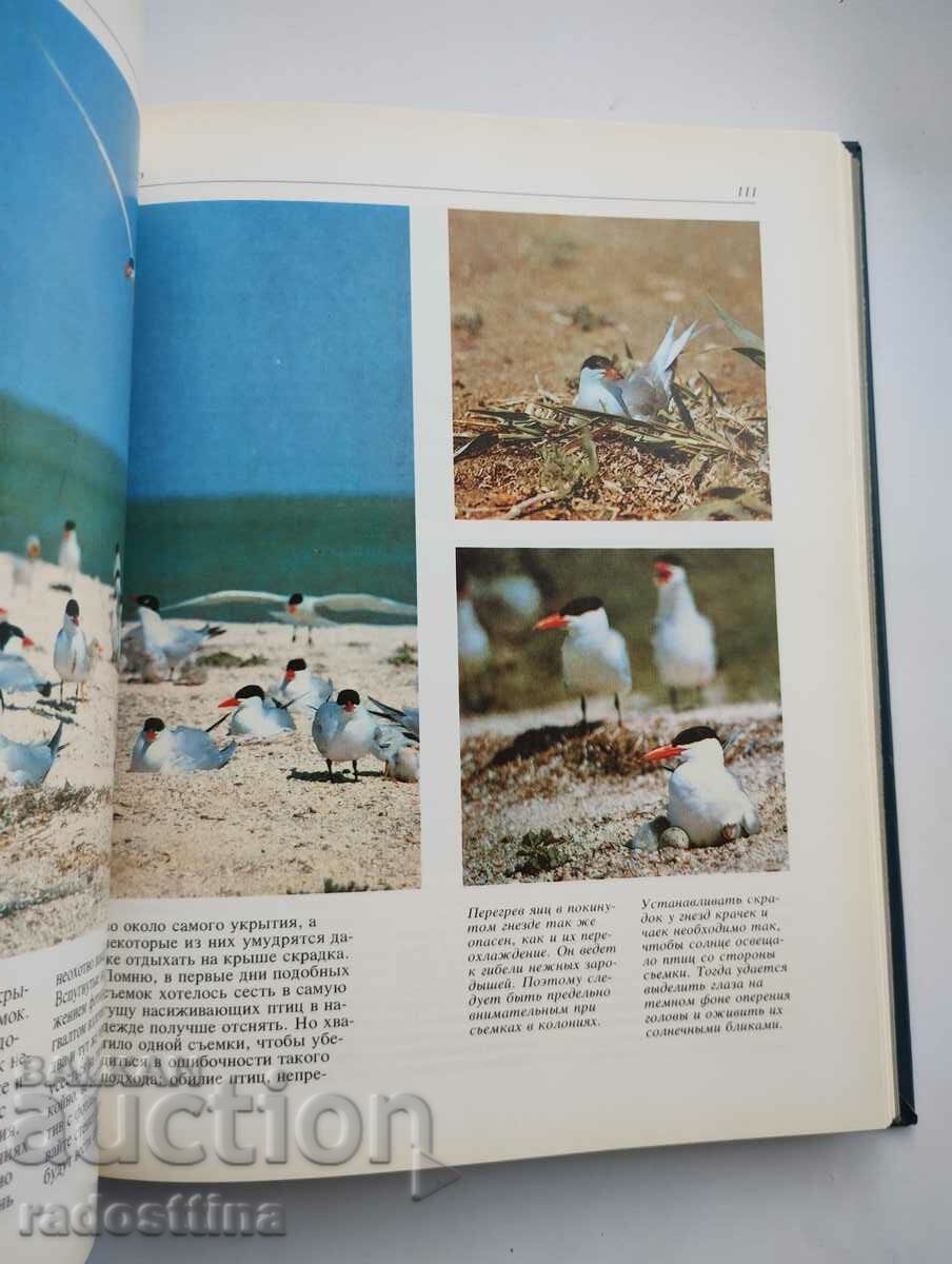 Delivery of Photo by I.A. Mukhin