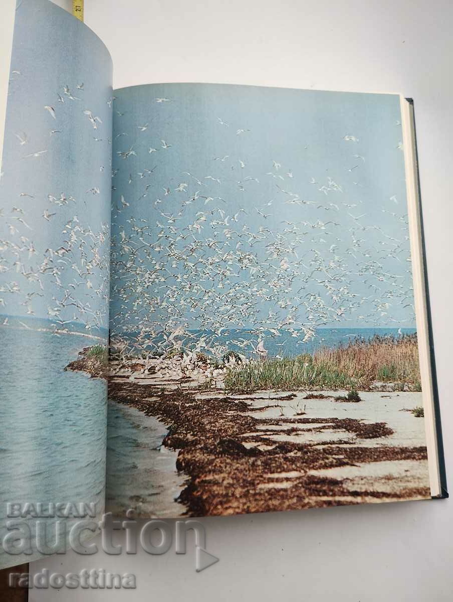 Photo by I.A. Mukhin - 5