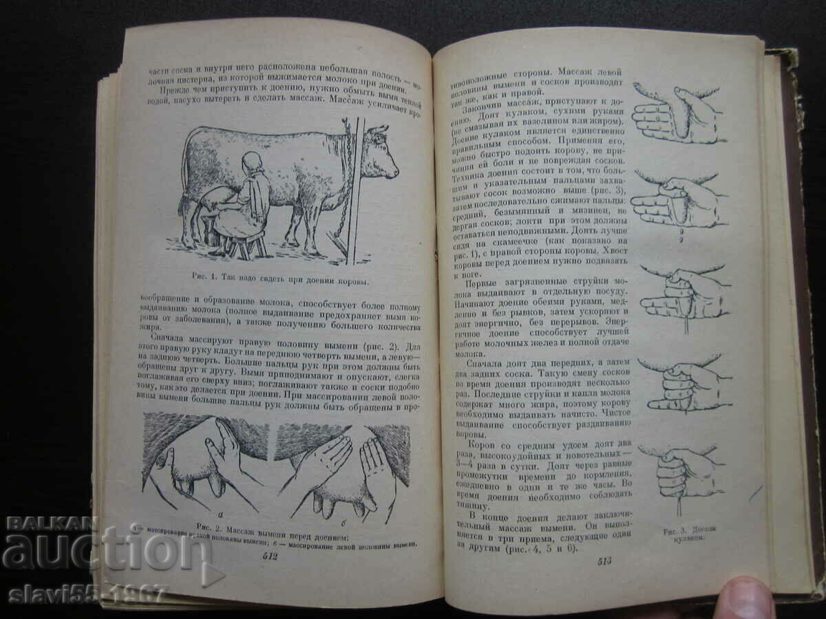 HOUSEKEEPING 1958 BZC !!! - 5