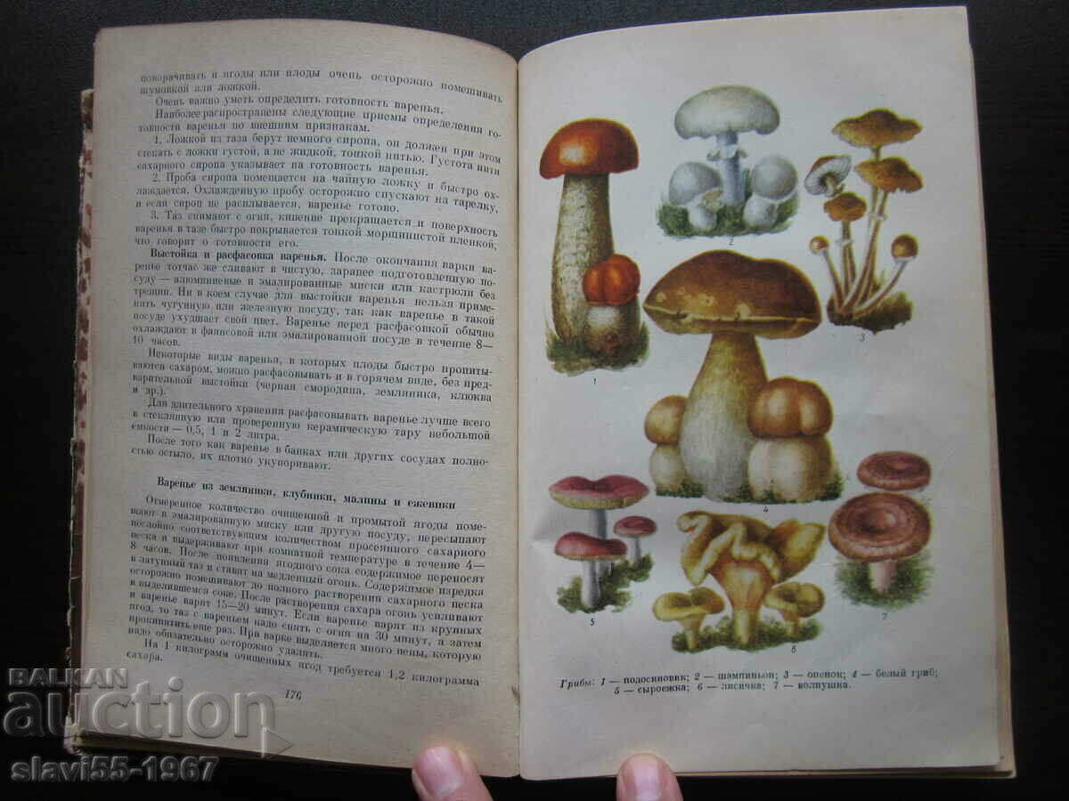 MENAJERA 1958 BZC!!! - 7 MENAJERA 1958 BZC!!! - 7