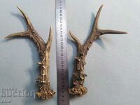 2 roe deer horns for material, decoration, etc. horn, horns