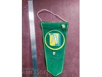 DFS Ludogorets Razgrad