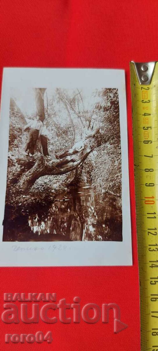 CHEPINO - 1928 with price 15.00 BGN | € 7.67 CHEPINO - 1928 with price 15.00 BGN | € 7.67